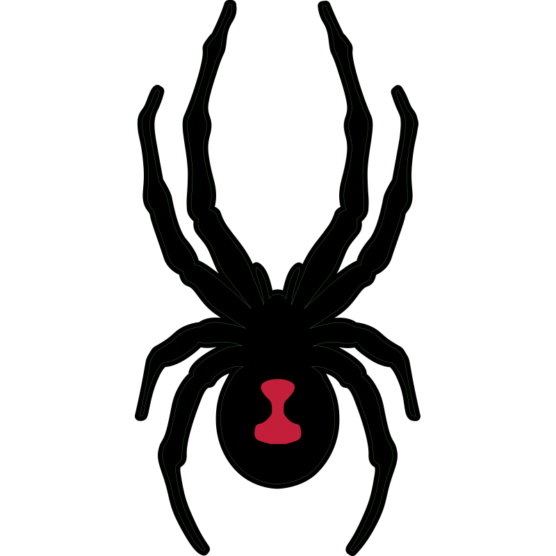 Spyder Spyder