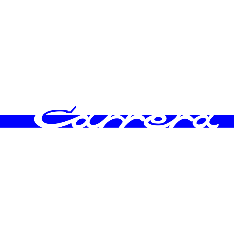 Carrera Carrera