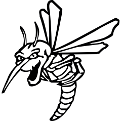 Moskitos