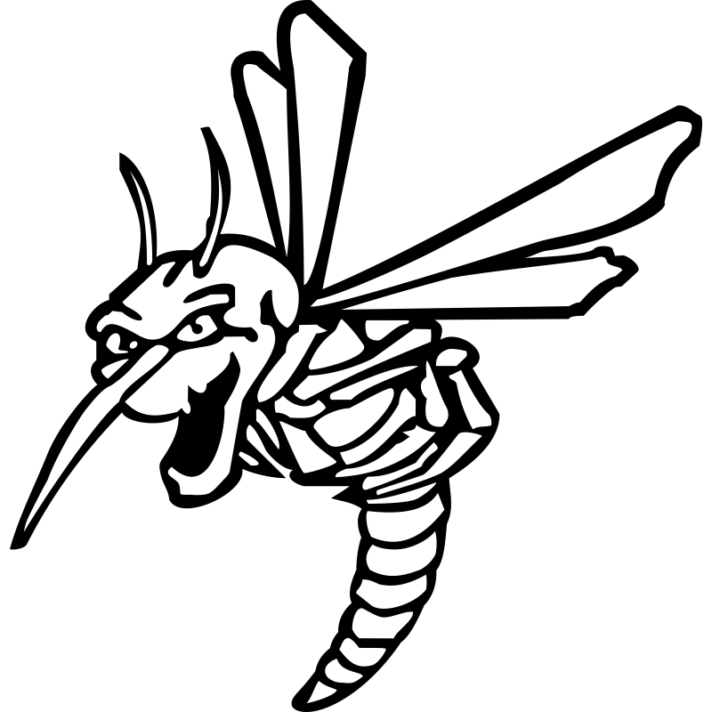 Moskitos