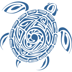 Tortue