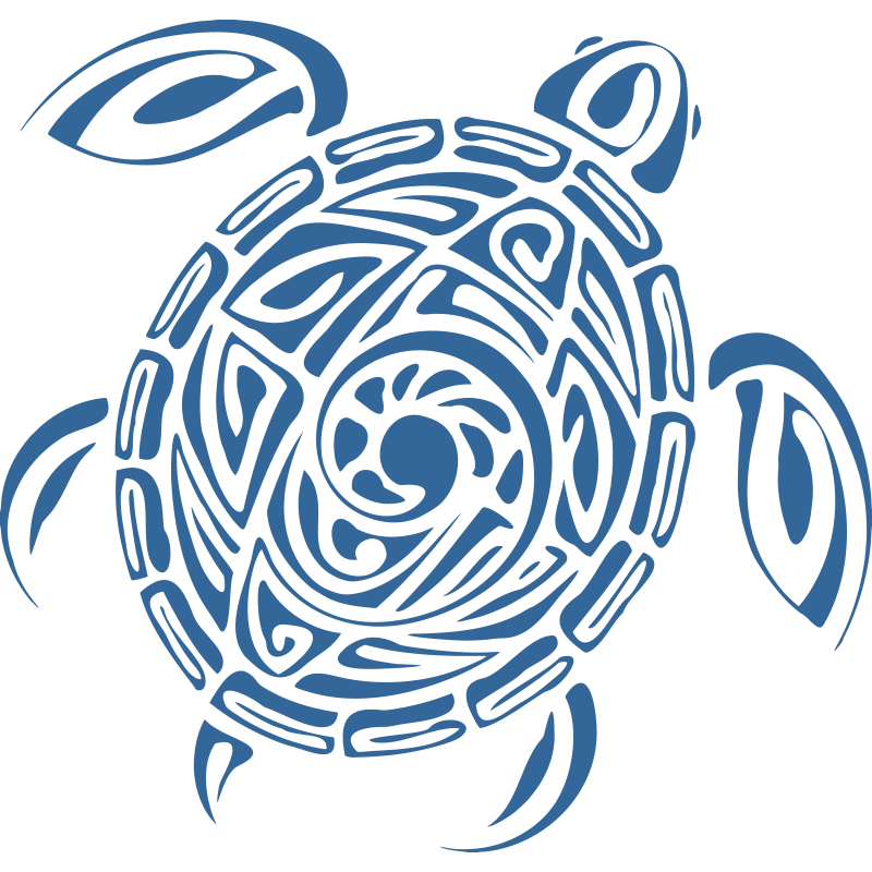 Tortue