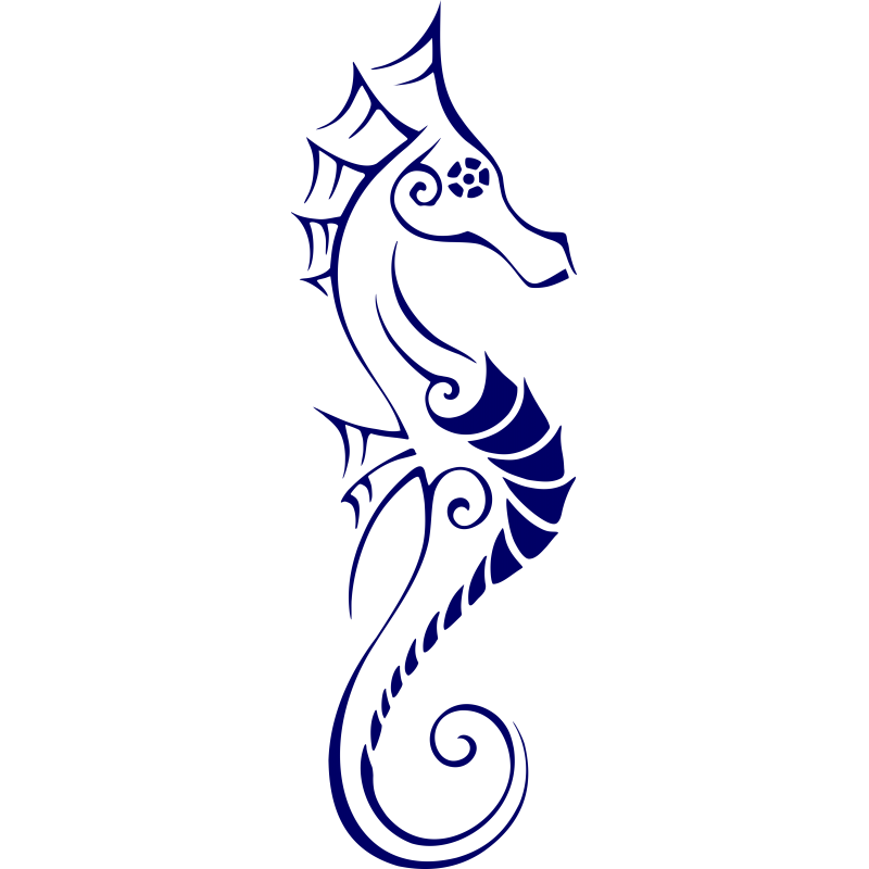 Hippocampe