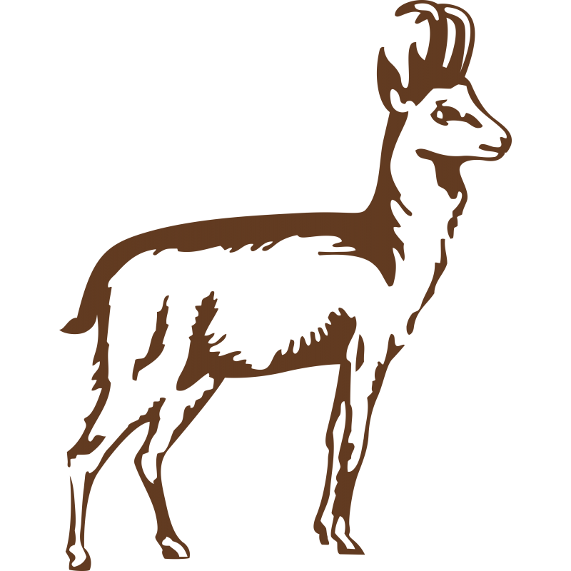 Chamois