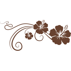 Hibiscus arabesque