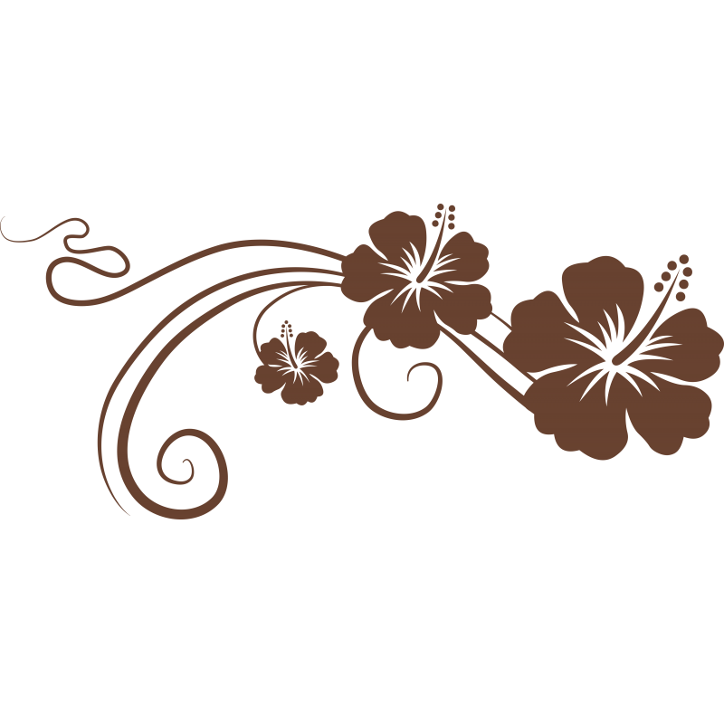 Hibiscus arabesque