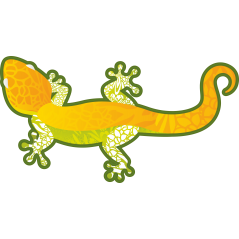 Gecko
