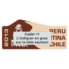 Dakar 2013