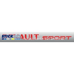 Renault sport