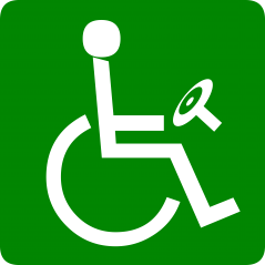 Handicapé au volant