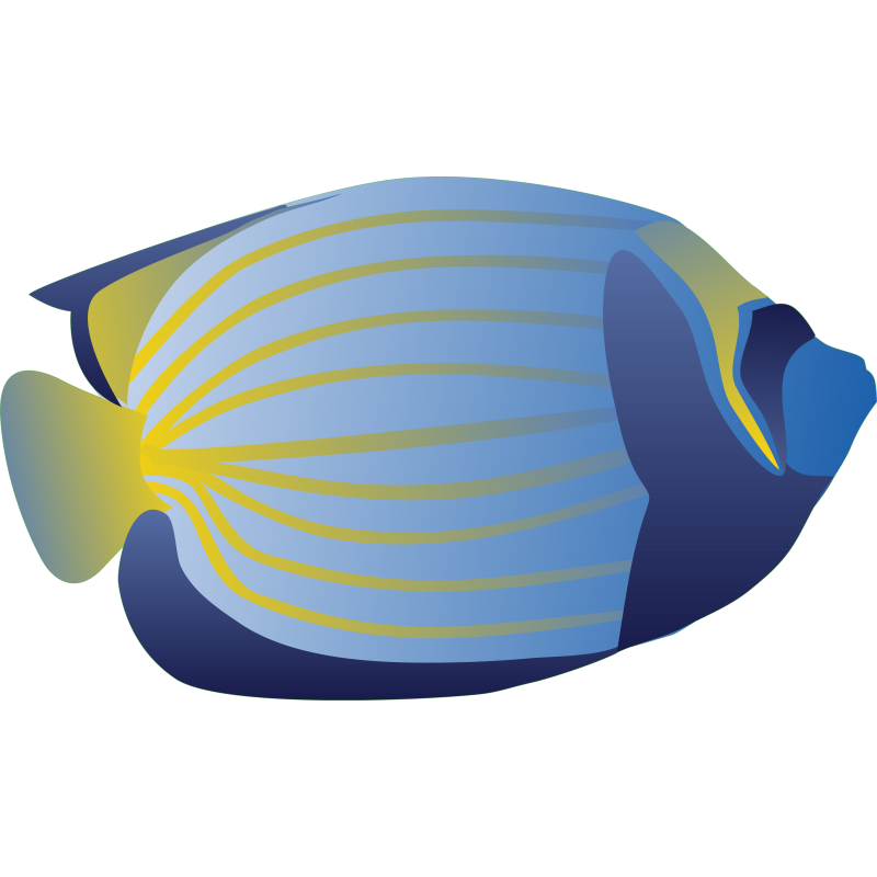 Poisson
