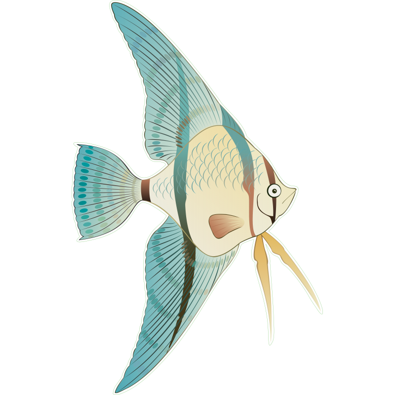 Poisson