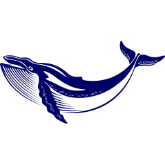 Baleine