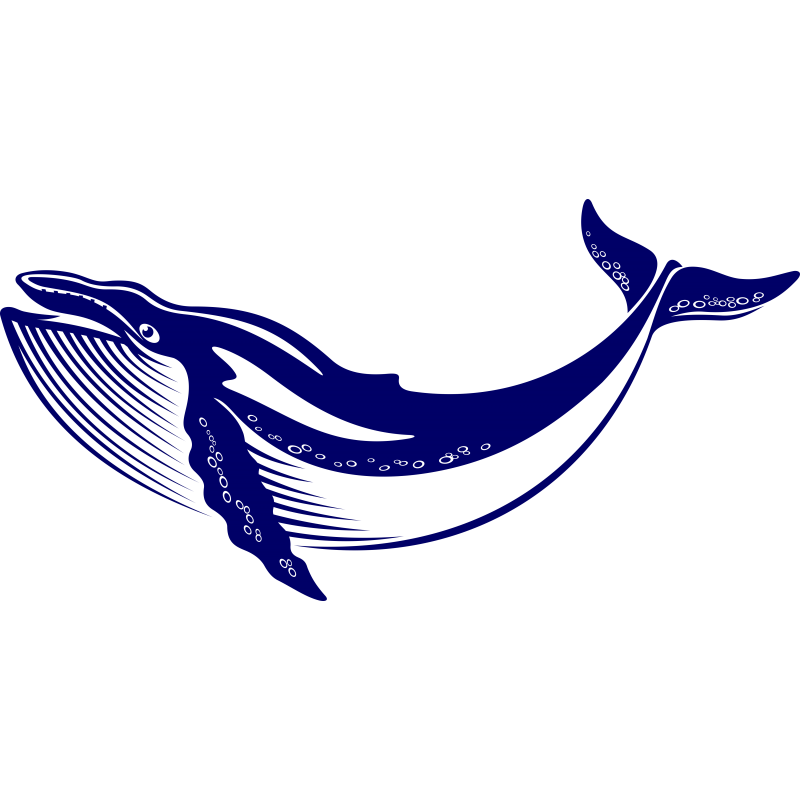 Baleine