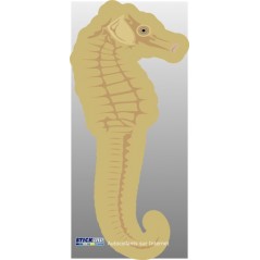Hippocampe