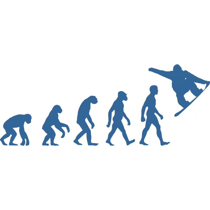Evolution surf