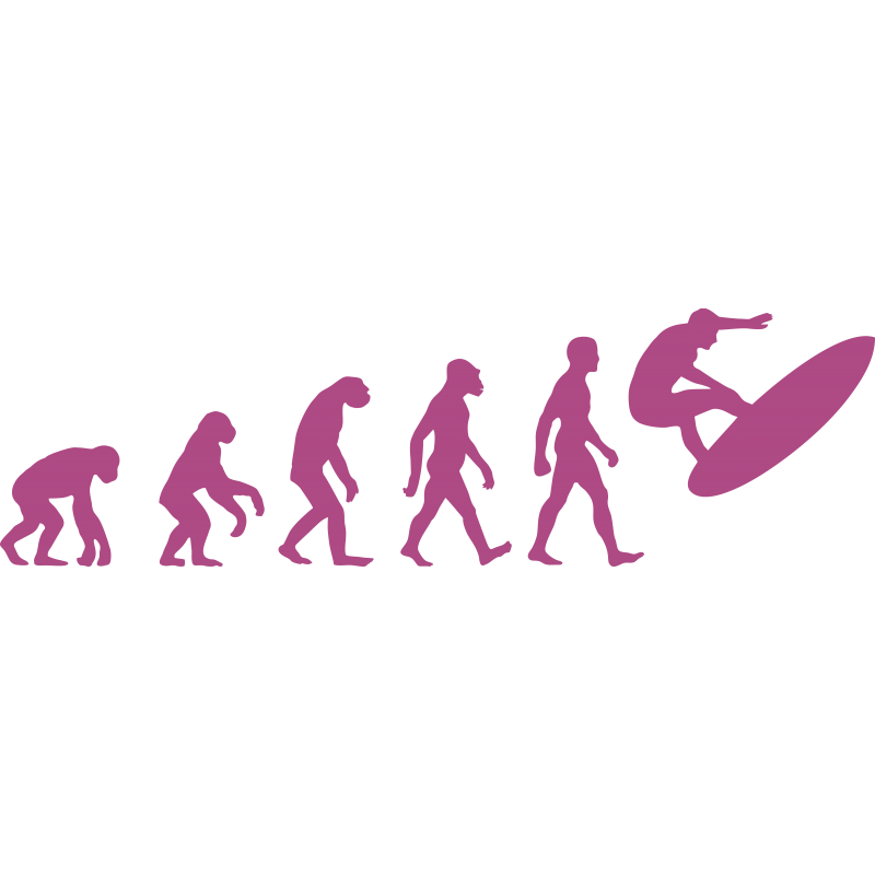 Evolution surf