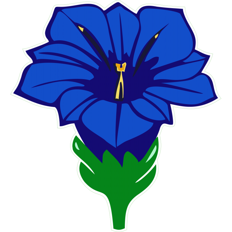 Gentiane