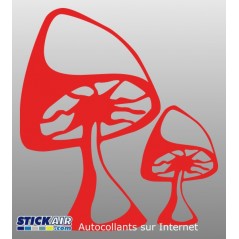 Champignons
