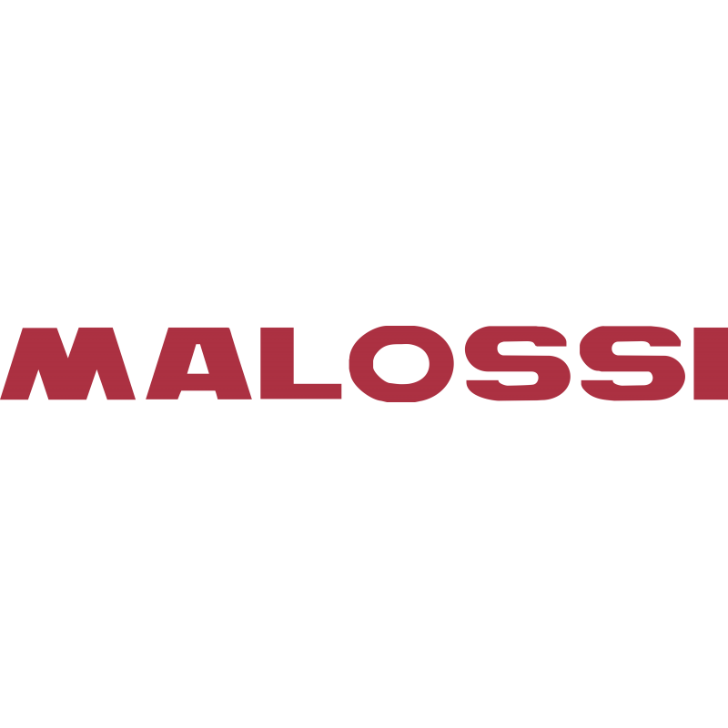 Malossi Malossi