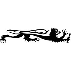 Malossi