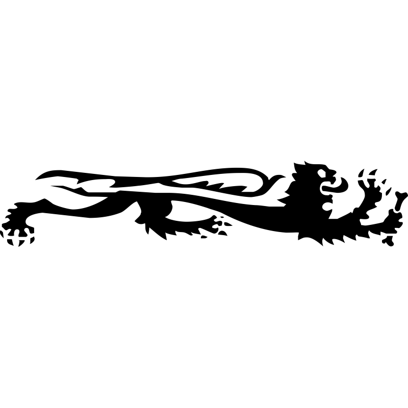 Malossi