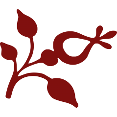 Fleur 2