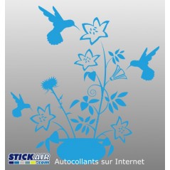 002 - Colibri