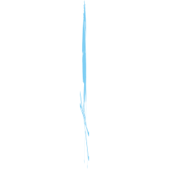 Skieur