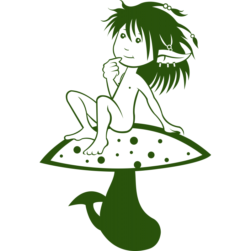 004 - Elfe 2