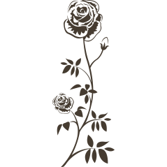 008 - Roses