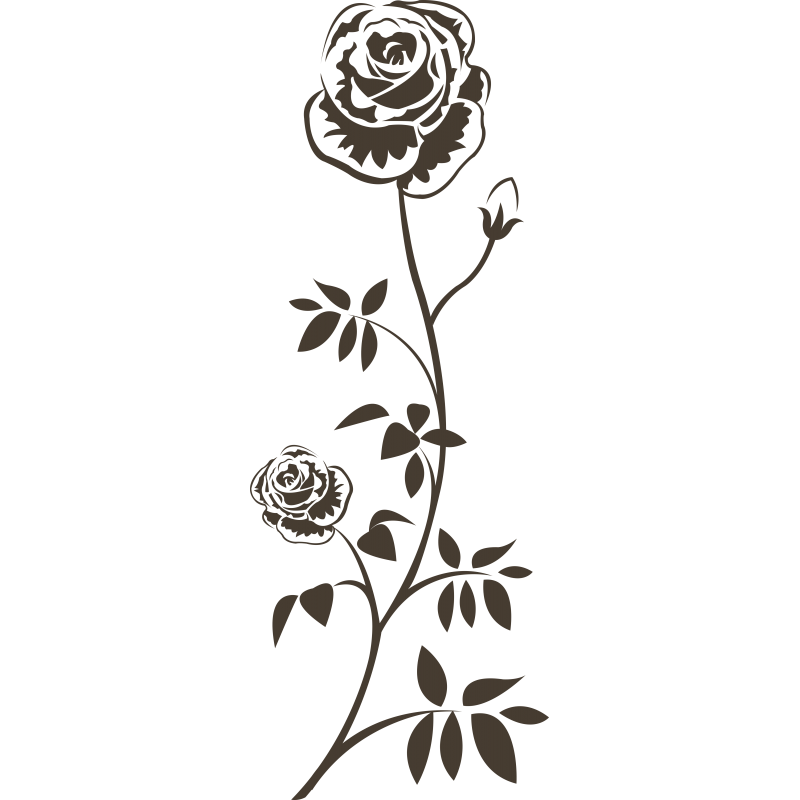 008 - Roses
