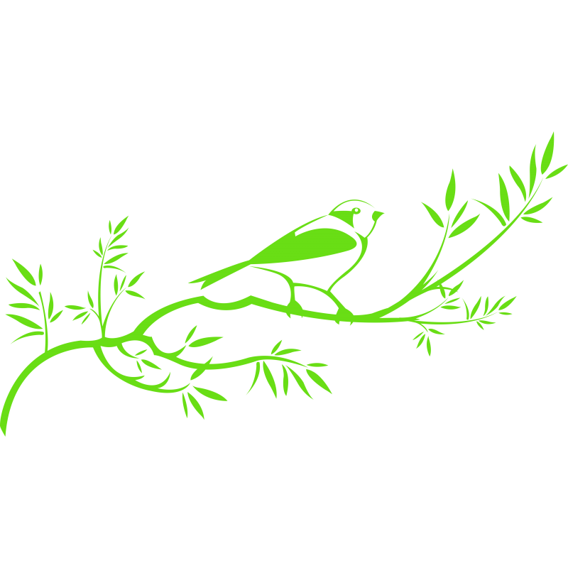 009 - Rossignol