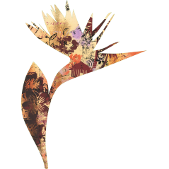 Fleur Cabana 2