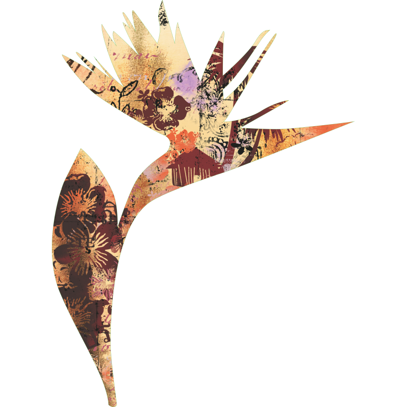 Fleur Cabana 2