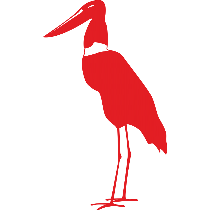 Jabiru Jabiru