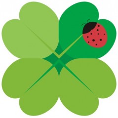 Trefle a quatre feuilles